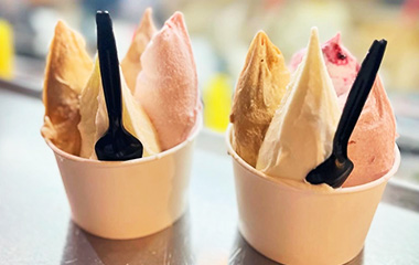 ジェラテリア Picco Jr